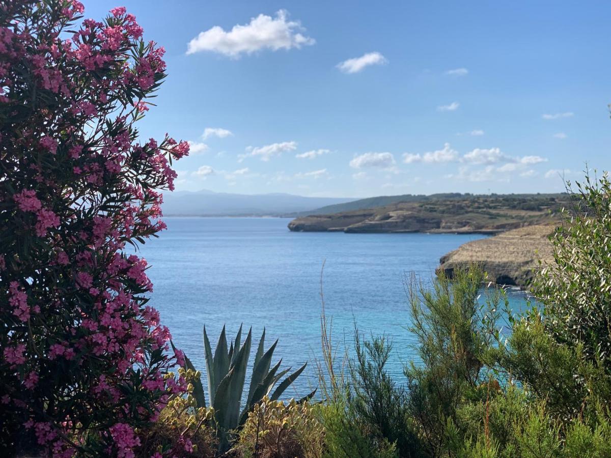 بورتو توريس B&B I Colori Dell'Isola المظهر الخارجي الصورة